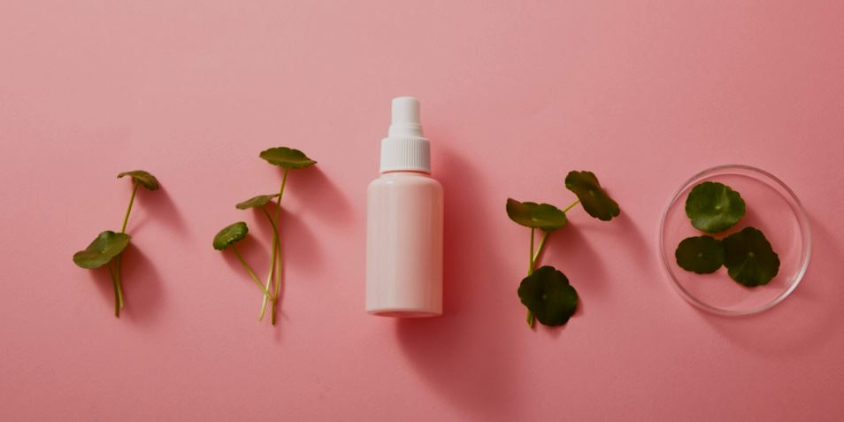 Centella Asiatica in Cosmetic Formulations: Elevating Skincare to New Heights